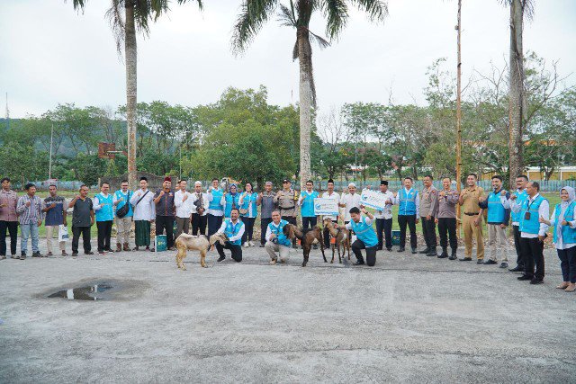 PLN Batam Serahkan 78 Bantuan Hewan Kurban