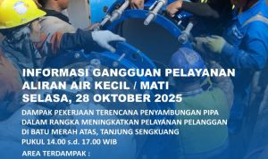 IMG-20251027-WA0018(1)