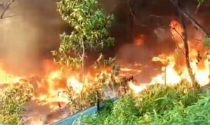 Screenshot_20251101-211113_Facebook_copy_720x809