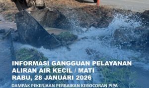 IMG-20260128-WA0006(1)_copy_480x600