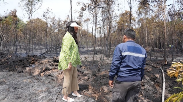 IMG-20260328-WA0001_copy_640x360