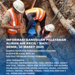 IMG-20260330-WA0015_copy_480x600